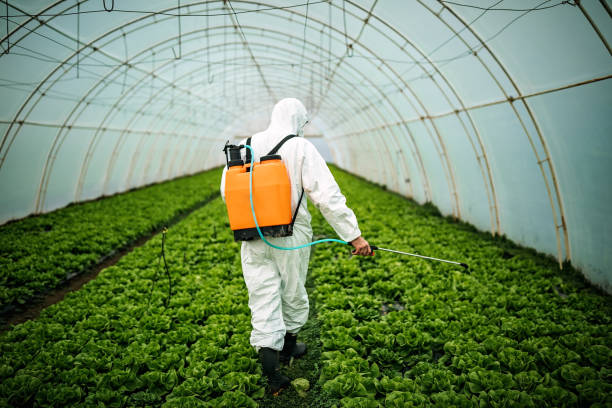 Best Local Pest Control Services  in Ware Shoals, SC