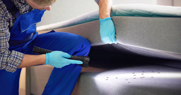 Best Flea Control Services  in Ware Shoals, SC