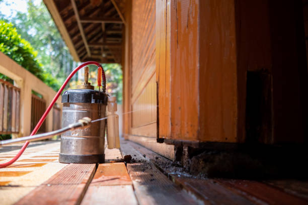 Best Termite Control Services  in Ware Shoals, SC