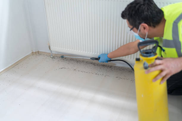 Best Flea Control Services  in Ware Shoals, SC