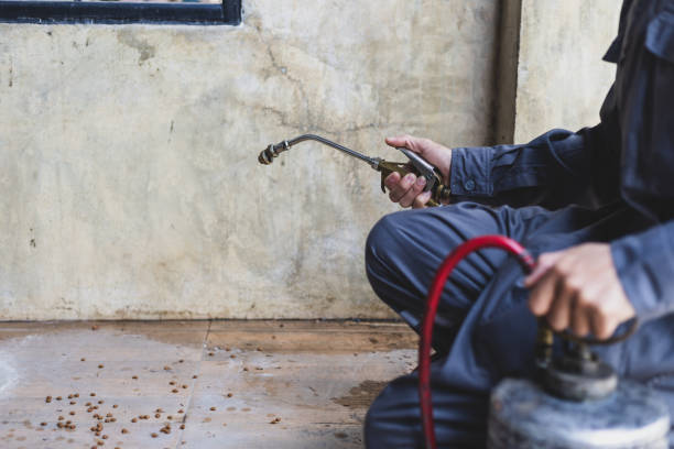Best Mosquito Control Services  in Ware Shoals, SC